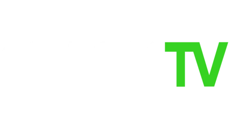 Disney Plus 4K Stream Icon