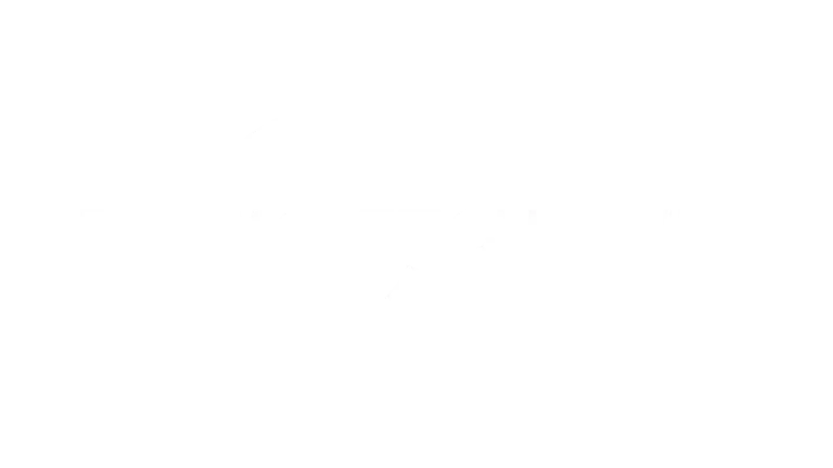 Netflix Cinema on Demand Icon